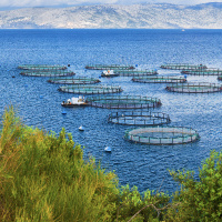 aquaculture