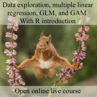 squirreldergg_012024